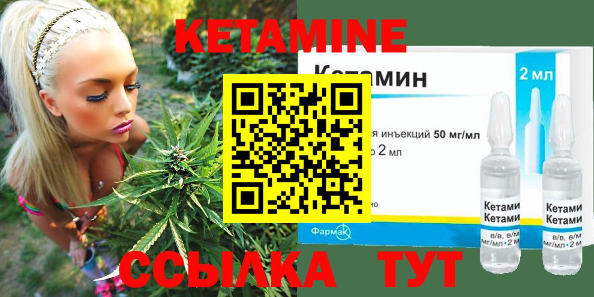 МЕФ Курск